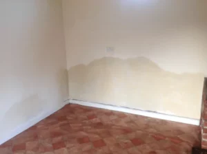 rising damp on wall