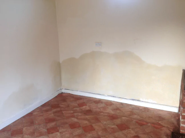 rising damp on wall